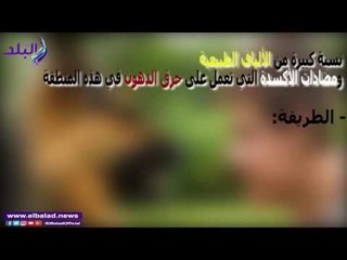 صدى البلد |  وصفة "ماحصلتش" تخلصك من الكرش