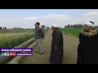 صدى البلد | المزارعون..نتمني نجاح التجربة رغم انها مستحيلة