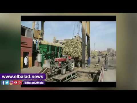صدى البلد | محافظ المنيا يتابع بدء موسم عصر قصب السكر بمصنع سكر ابوقرقاص