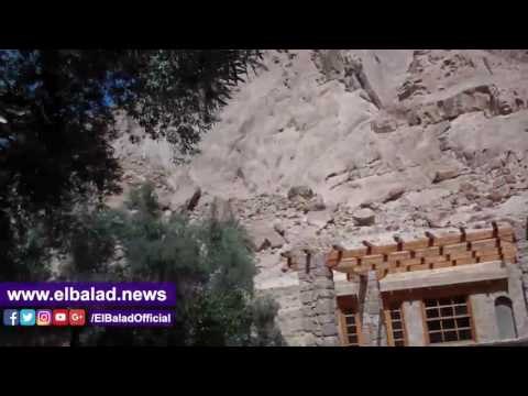 صدى البلد | اشجار الزيتون المعمرة بدير سانت كاترين لم تستغل سياحيا