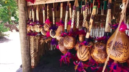 Aldeia indígena em Aracruz