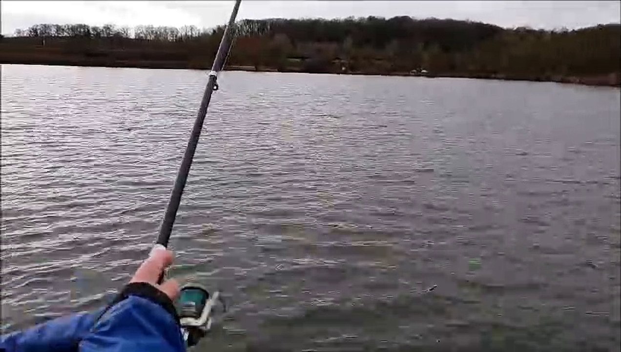 Ouverture de la pêche à la truite à Lunéville et dans les alentours
