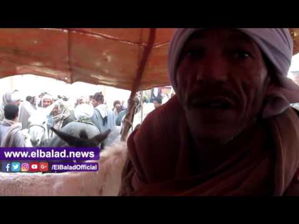 صدى البلد | "صدى البلد" في سوق الحمير بالفيوم.. والتجار: نقوم بذبحها وتصدير جلودها