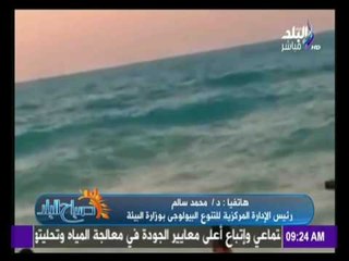 البيئة تكشف حقيقية ظهور حوت الساحل الشمالي