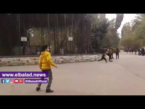 صدى البلد |أطفال يلعبون كرة قدم بحديقة الحيوان وسط حالة من المرح