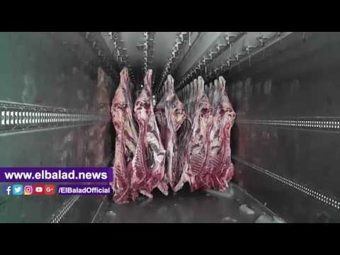 صدى البلد | التموين: طرح 300 رأس ماشية سودانية يوميا بالمجمعات