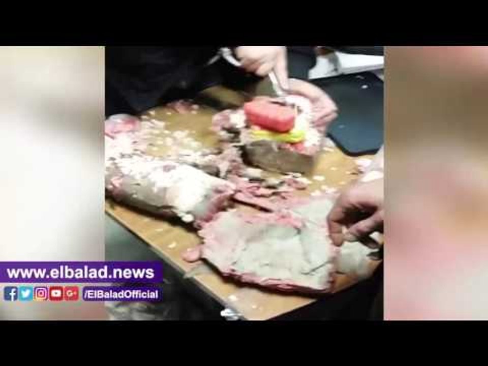 صدى البلد | لقبض على راكب حاول تهريب 820 قرصا م...