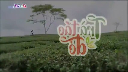 Trà Táo Đỏ Tập 19 , Phim Việt Nam THVL1 , Phim Tra Tao Do Tap 20 , Phim Tra Tao Do Tap 19