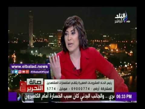 صدى البلد |علاء السقطي: نركز على المشروعات الصغيرة لقلة تكلفتها واستهدافها لمنتجات محددة