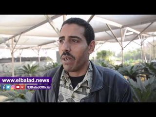صدى البلد |  قبل عيد الحب... " يا ورد مين يشتريك والحبيب غالى "
