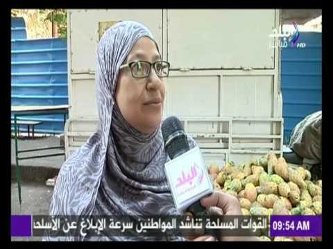 المصريين يرفضوا استيراد هذه السلع من الخارج | صباح البلد