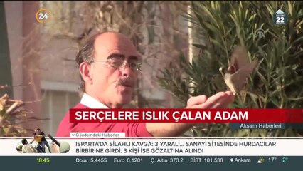 Download Video: Serçelerle iletişim kuruyor