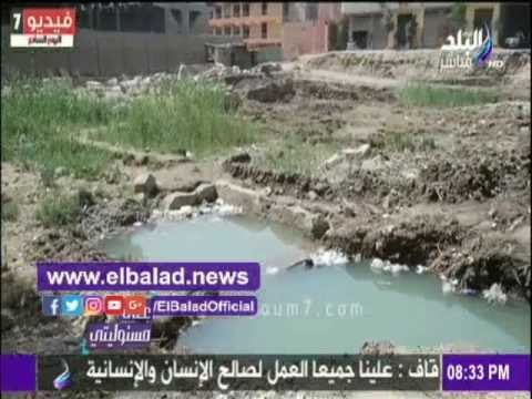 صدى البلد |خبير آثار: طريقة استخراج تمثال المطرية «جريمة كبرى»