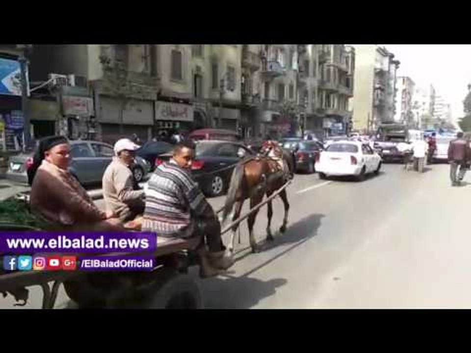 صدى البلد |  "الكارو" والشرطة وجها لوجه في شارع قصر العيني