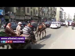 صدى البلد |  "الكارو" والشرطة وجها لوجه في شارع قصر العيني