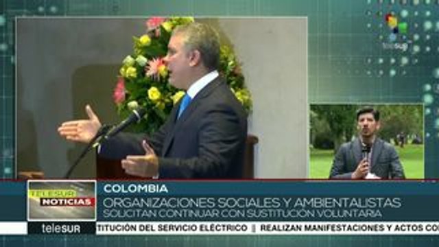 Colombia: oposición al uso del glifosato sobre cultivos ilícitos