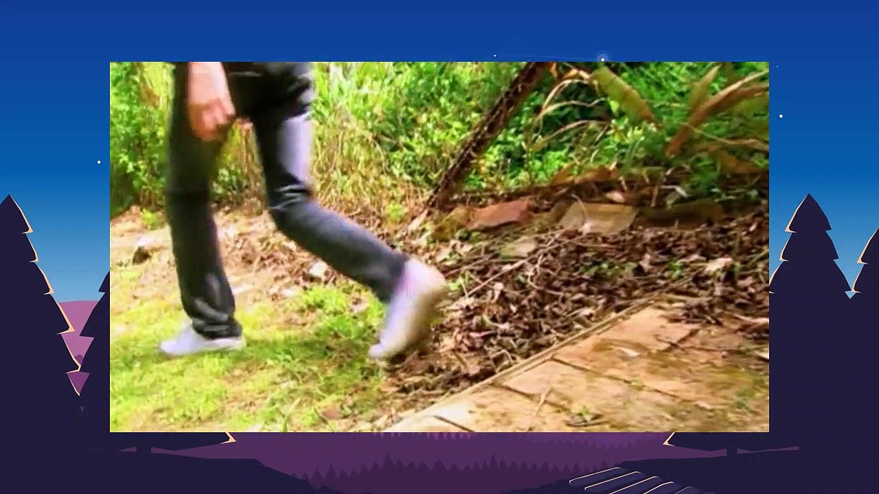 Kid Detectives   S1E9   Metal Detector