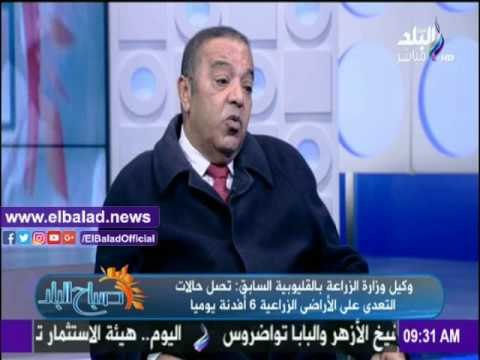 صدى البلد |نقيب الزراعيين: الدستور يجرم التعدي على الأراضي الزراعية لكن القوانين غير مفعلة
