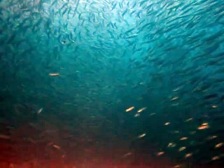 울진출장안마 -100%미인ョØ7Øn7575vØØ62【문의톡OYO78】울진전지역출장마사지샵울진출장go안마ok울진출장마사지황형ŁØŒ출장미인섹S