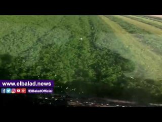 صدى البلد | البرسيم الحجازي كارثة تهدد الخزان الجوفي بشرق العوينات