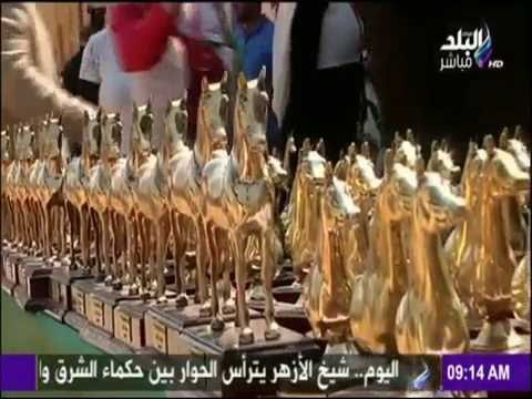 صباح البلد - مهرجان الخيول العربية الحادي والعشرين