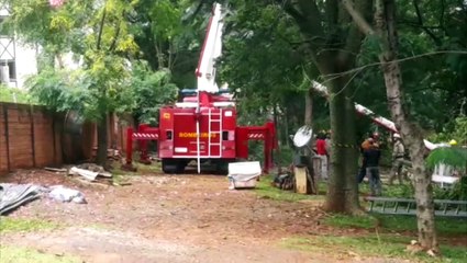 Caminhão plataforma é usado em corte de árvore que ameaça casa