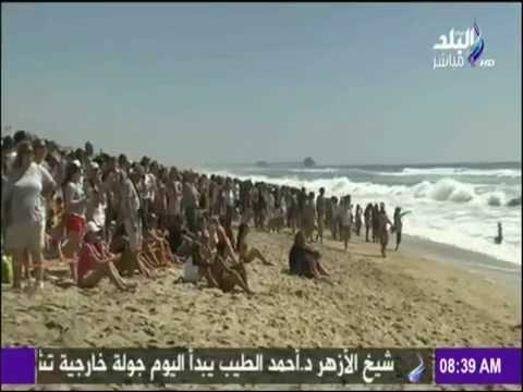 صباح البلد - شاهد أغرب مسابقة لركوب الأمواج.. للكلاب فقط