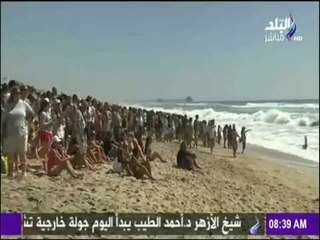 صباح البلد - شاهد أغرب مسابقة لركوب الأمواج.. للكلاب فقط