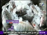 صدى البلد | أحمد موسى:«تجار الأسماك مش لاقيين حد يشتري والمواطنين مش معاهم فلوس»