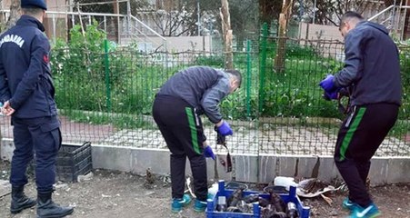 İzmir'de 6 Kaz İşkence Edilerek Öldürüldü, Vatandaşlar Tepki Gösterdi