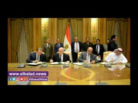 صدى البلد |«الإنتاج الحربي» زراعة 20 مليون نخلة ومصنع لإنتاج السكر من التمور