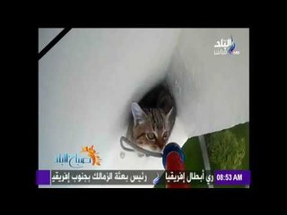 عملية انقاذ خاصة لقطة عالقة علي حافة برج بسنغافورة