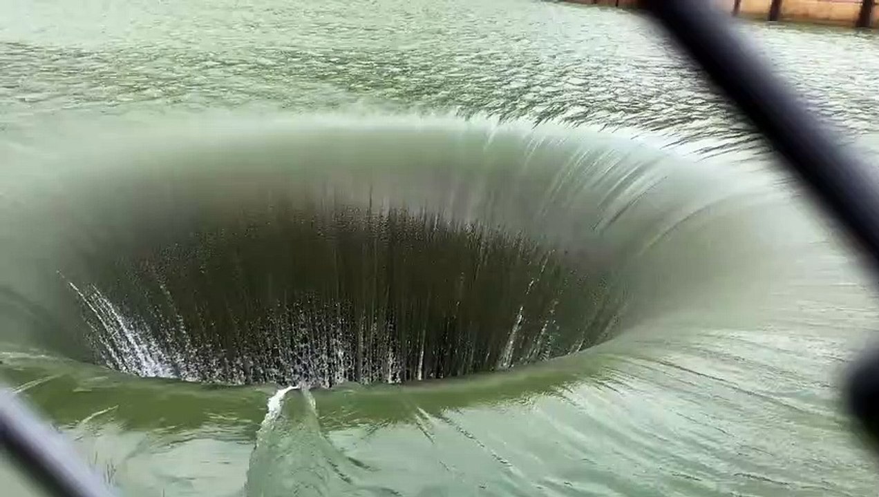 Ce petit canard disparaît dans un trou d'eau