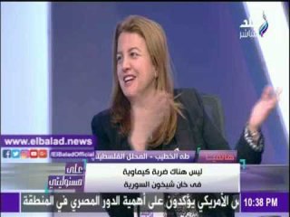 صدى البلد |محلل فلسطينى : ليس هناك ضربة كيماوية فى خان شيخون السورية