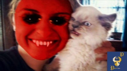 Funny Cats Scared of Masks - Part 2