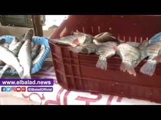 صدى البلد | البحيرة تقاطع شراء الأسماك .. الأهالى : نتضامن مع حملة"بلاها سمك خليه يعفن"