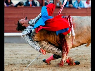 مظاهرات تجتاح اسبانية بسبب عودة مصارعة الثيران