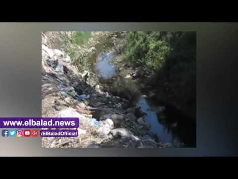 صدى البلد | القمامة , المواصلات ثلاثية تؤرق حياة المواطنين بعزبة أحمد وهبة ببني سويف