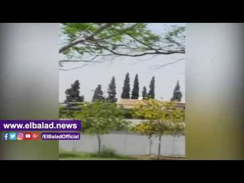 صدى البلد | أعمدة الإنارة فى مطار القاهرة مضاءة في عز الظهر