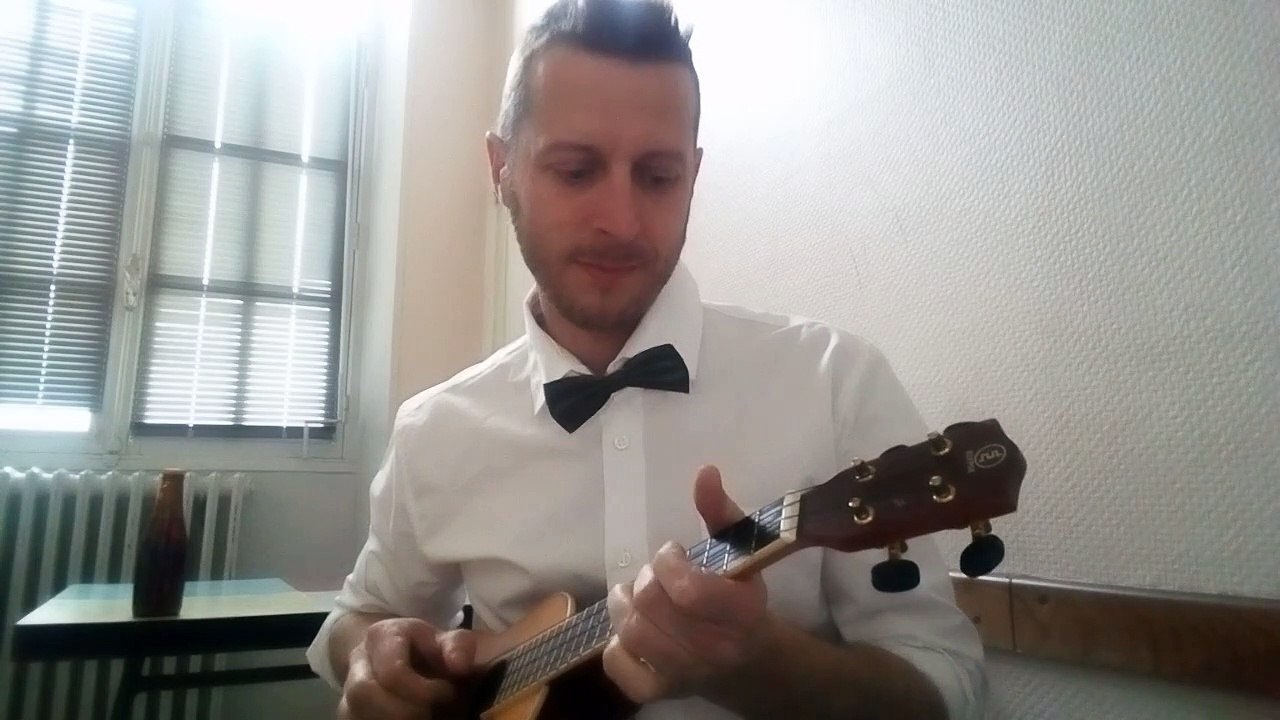 Il parait que (j'ai oublié que) c'etait la journée de la femme (pauvres diables au ukulélé)