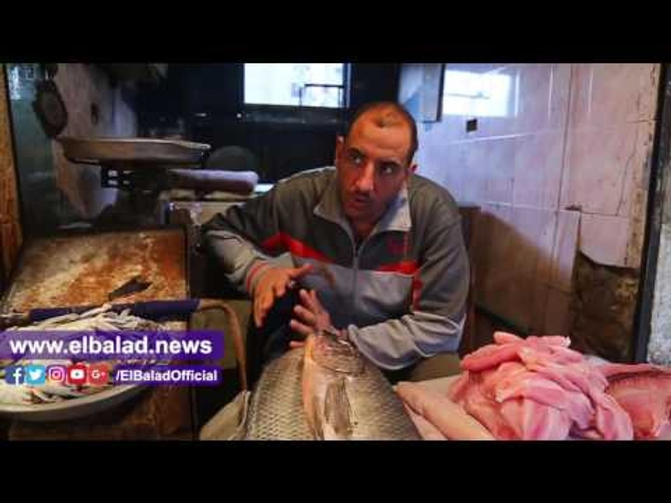 صدى البلد | «جنون السمك».. اختفاء البلطي.. والب...