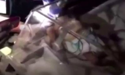 Venezuela'da Elektrik Kesintileri Yüzünden 36 Kişi Öldü