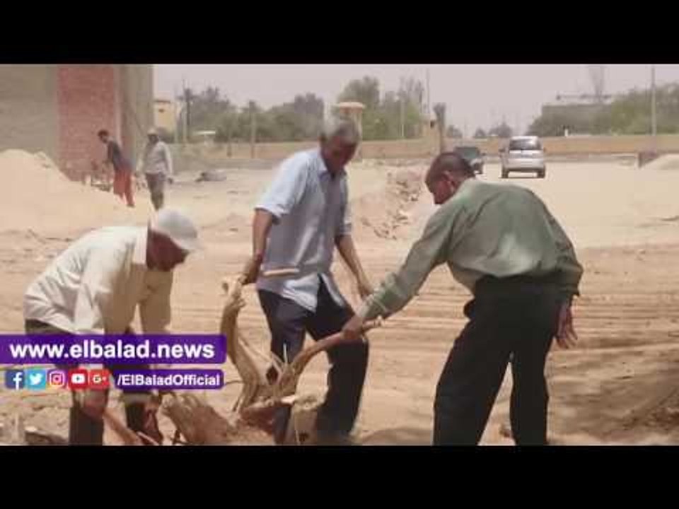صدى البلد | عمال جامعة جنوب الوادى يقضون"عيدهم"فى تجميل مزرعة كلية الصيدلة