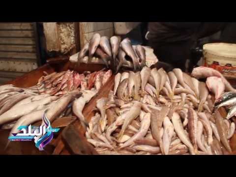 صدى البلد | ننشر أسعار الخضار والفاكهة واللحوم بالأسواق