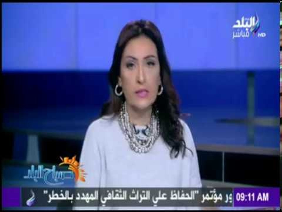 صباح البلد - "الدواجن" تثير الجدل.. استثمارات صناعتها 65 مليار وانهيارها يكلف الدولة 250 مليار