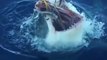 La morsure d'un grand requin blanc filmé au plus près