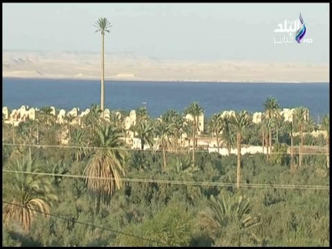 صباح البلد | قرية تونس أهم المزارات السياحية بالفيوم