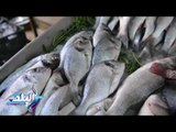 صدى البلد | مع اقتراب شهر رمضان ...انخفاض أسعار الأسماك والدواجن ، واستمرار ارتفاع اللحوم