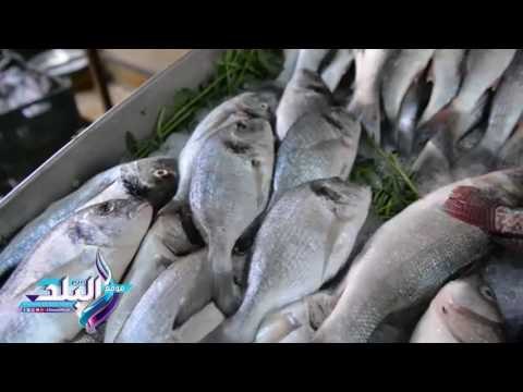 صدى البلد | مع اقتراب شهر رمضان ...انخفاض أسعار الأسماك والدواجن ، واستمرار ارتفاع اللحوم