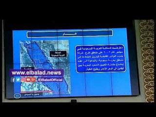 صدى البلد | العسال